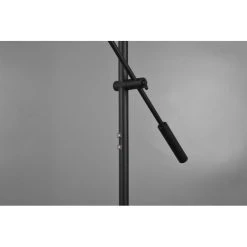 Reality Haora Deckenfluter LED Schwarz, 2-flammig -LED Leuchten Verkäufe 2022 reality haora deckenfluter r42321232 3