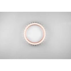 Reality Monte Deckenleuchte LED Weiß, 1-flammig 7 Reality Monte Deckenleuchte LED Weiß, 1-flammig -LED Leuchten Verkäufe 2022 reality monte deckenleuchte r62171130 3