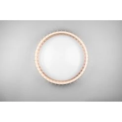 Reality Monte Deckenleuchte LED Weiß, 1-flammig, Fernbedienung -LED Leuchten Verkäufe 2022 reality monte deckenleuchte r62171930 5