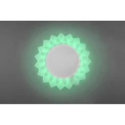 Reality Sunflower Deckenleuchte LED Weiß, 2-flammig, Fernbedienung, Farbwechsler -LED Leuchten Verkäufe 2022 reality sunflower deckenleuchte r65071201 15