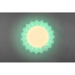 Reality Sunflower Deckenleuchte LED Weiß, 2-flammig, Fernbedienung, Farbwechsler -LED Leuchten Verkäufe 2022 reality sunflower deckenleuchte r65071201 6