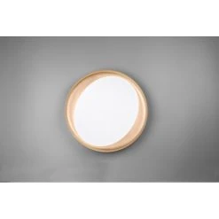 Reality Zeta Deckenleuchte LED Schwarz, 1-flammig, Fernbedienung 9 Reality Zeta Deckenleuchte LED Schwarz, 1-flammig, Fernbedienung -LED Leuchten Verkäufe 2022 reality zeta deckenleuchte r62712402 3