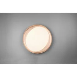 Reality Zeta Deckenleuchte LED Schwarz, 1-flammig, Fernbedienung 10 Reality Zeta Deckenleuchte LED Schwarz, 1-flammig, Fernbedienung -LED Leuchten Verkäufe 2022 reality zeta deckenleuchte r62712402 4