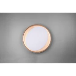 Reality Zeta Deckenleuchte LED Schwarz, 1-flammig, Fernbedienung 11 Reality Zeta Deckenleuchte LED Schwarz, 1-flammig, Fernbedienung -LED Leuchten Verkäufe 2022 reality zeta deckenleuchte r62712402 5