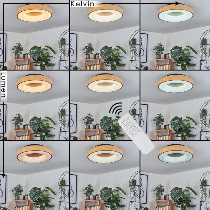 Hofstein Sachseln Deckenleuchte LED Schwarz, 1-flammig 2 Hofstein Sachseln Deckenleuchte LED Schwarz, 1-flammig – Bild 2