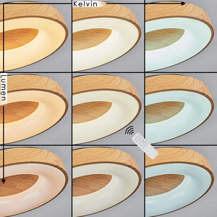Hofstein Sachseln Deckenleuchte LED Schwarz, 1-flammig 5 Hofstein Sachseln Deckenleuchte LED Schwarz, 1-flammig – Bild 5