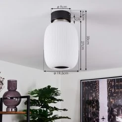 Hofstein Sebep Deckenleuchte LED Schwarz, 1-flammig -LED Leuchten Verkäufe 2022 sebep deckenleuchte h3391273 3