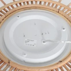 Steinhauer Aura Deckenleuchte LED Naturfarben, 1-flammig -LED Leuchten Verkäufe 2022 steinhauer aura deckenleuchte 3124be 4