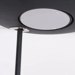 Steinhauer Zenith Deckenfluter LED Schwarz, 1-flammig -LED Leuchten Verkäufe 2022 steinhauer zenith deckenfluter 1477zw 6