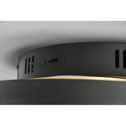 Trio Leuchten Trio Caya Deckenleuchte LED Messing, Schwarz, 1-flammig -LED Leuchten Verkäufe 2022 trio caya deckenleuchte 641910208 10