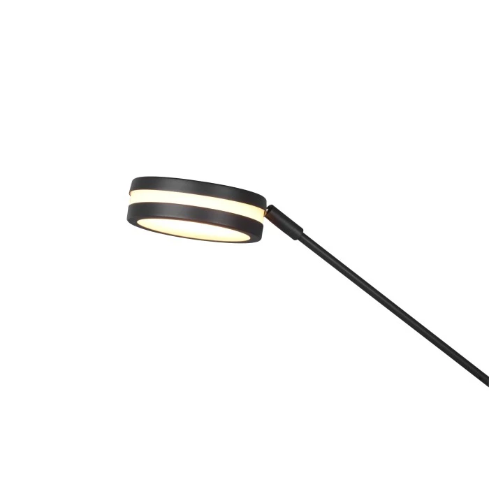 Trio Leuchten Franklin Deckenfluter LED Anthrazit, 2-flammig 4 Trio Leuchten Franklin Deckenfluter LED Anthrazit, 2-flammig – Bild 4