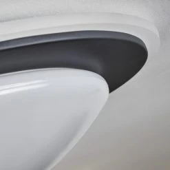 Hofstein Wil Deckenleuchte LED Anthrazit, Wei&szlig;, 1-flammig -LED Leuchten Verkäufe 2022 wil deckenleuchte h3458679 2